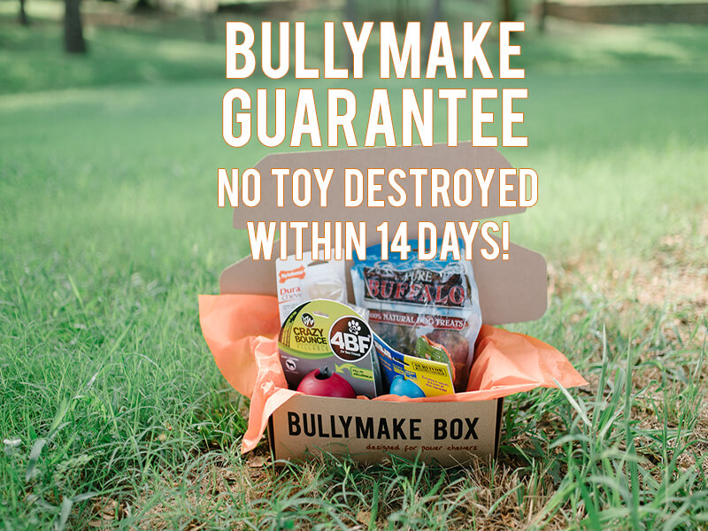 bullymake amazon