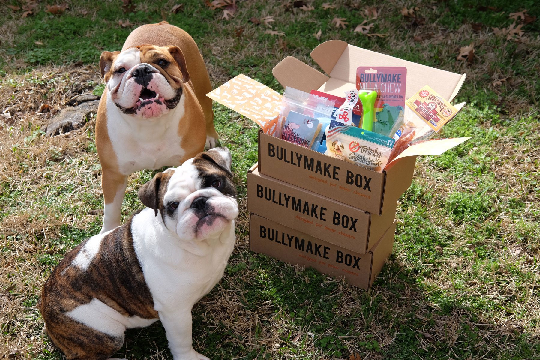 bullymake toys amazon